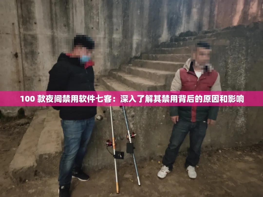100 款夜間禁用軟件七客：深入了解其禁用背后的原因和影響