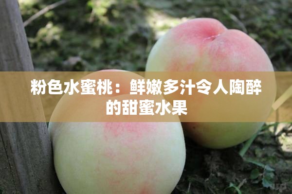 粉色水蜜桃：鮮嫩多汁令人陶醉的甜蜜水果