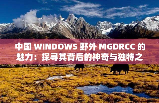 中國 WINDOWS 野外 MGDRCC 的魅力：探尋其背后的神奇與獨(dú)特之處