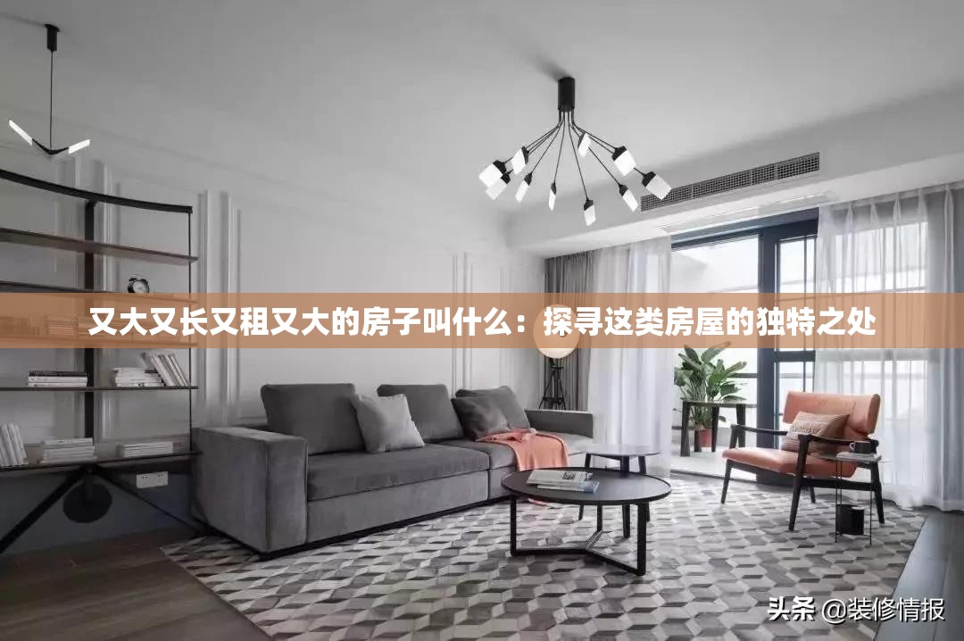 又大又長又租又大的房子叫什么：探尋這類房屋的獨(dú)特之處