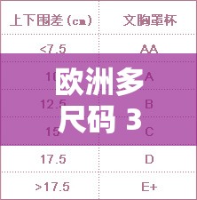 歐洲多尺碼 3538 ：帶來(lái)更多舒適選擇與時(shí)尚體驗(yàn)