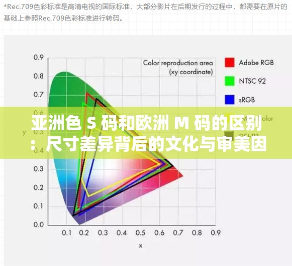 亞洲色 S 碼和歐洲 M 碼的區(qū)別：尺寸差異背后的文化與審美因素