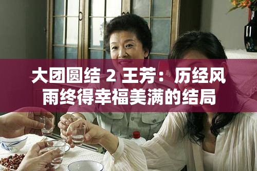 大團(tuán)圓結(jié) 2 王芳：歷經(jīng)風(fēng)雨終得幸福美滿(mǎn)的結(jié)局
