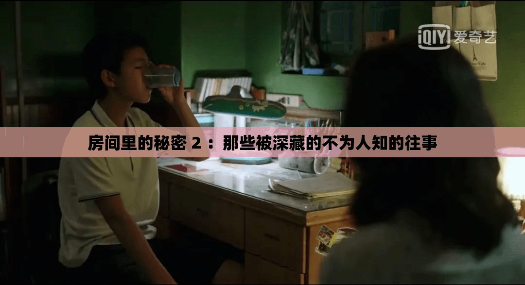 房間里的秘密 2 ：那些被深藏的不為人知的往事