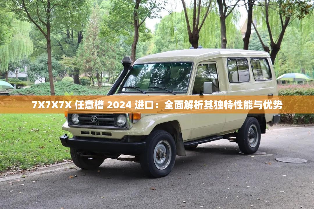 7X7X7X 任意槽 2024 進(jìn)口：全面解析其獨特性能與優(yōu)勢