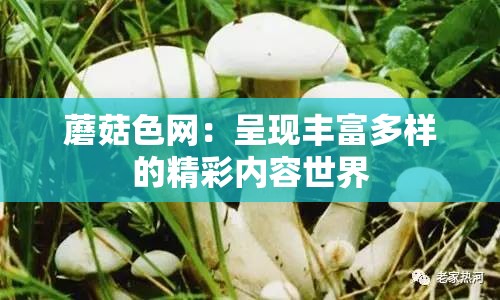 蘑菇色網(wǎng)：呈現(xiàn)豐富多樣的精彩內(nèi)容世界