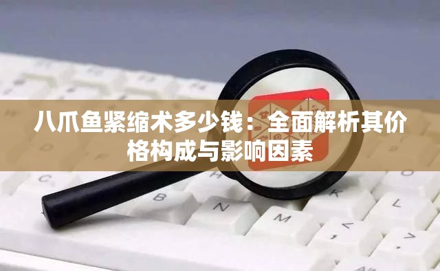 八爪魚緊縮術(shù)多少錢：全面解析其價格構(gòu)成與影響因素