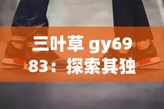 三葉草 gy6983：探索其獨特魅力與無限可能
