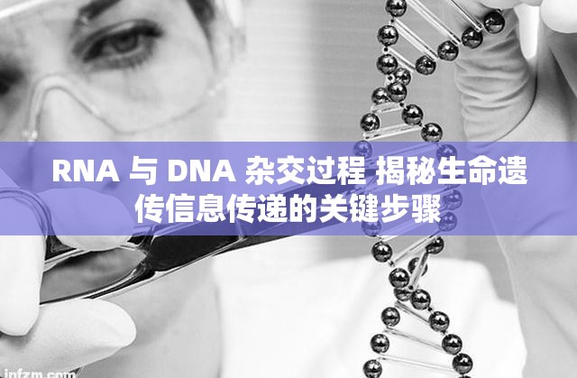 RNA 與 DNA 雜交過程 揭秘生命遺傳信息傳遞的關(guān)鍵步驟