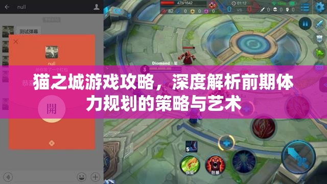 貓之城游戲攻略，深度解析前期體力規(guī)劃的策略與藝術(shù)