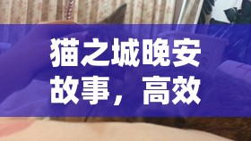 貓之城晚安故事，高效陣容搭配策略、精細(xì)資源管理與價(jià)值最大化指南