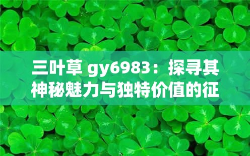 三葉草 gy6983：探尋其神秘魅力與獨(dú)特價值的征程