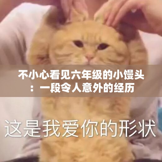 不小心看見六年級的小饅頭：一段令人意外的經(jīng)歷