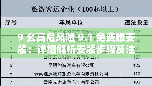 9 幺高危風(fēng)險(xiǎn) 9.1 免費(fèi)版安裝：詳細(xì)解析安裝步驟及注意事項(xiàng)