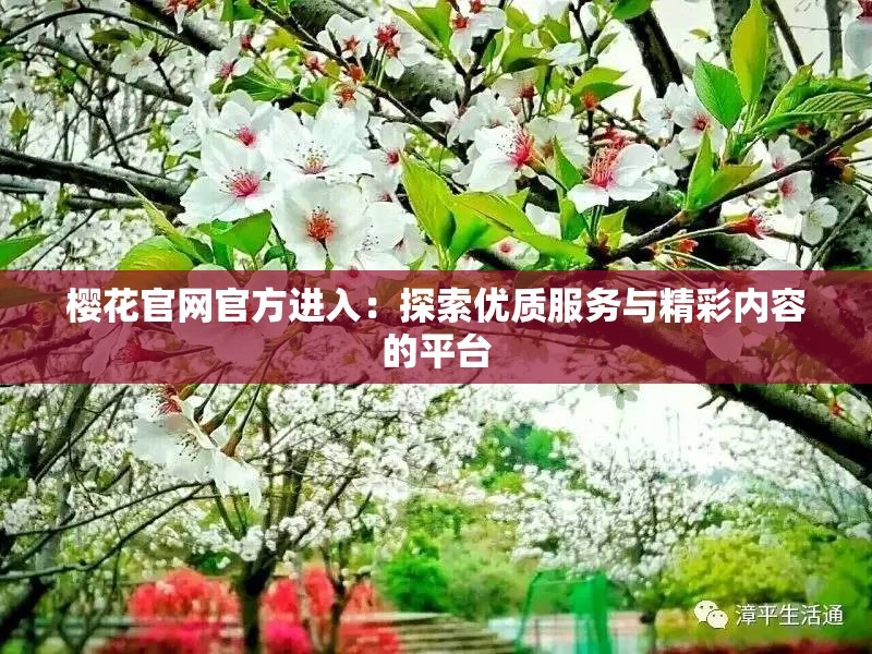 櫻花官網(wǎng)官方進(jìn)入：探索優(yōu)質(zhì)服務(wù)與精彩內(nèi)容的平臺(tái)