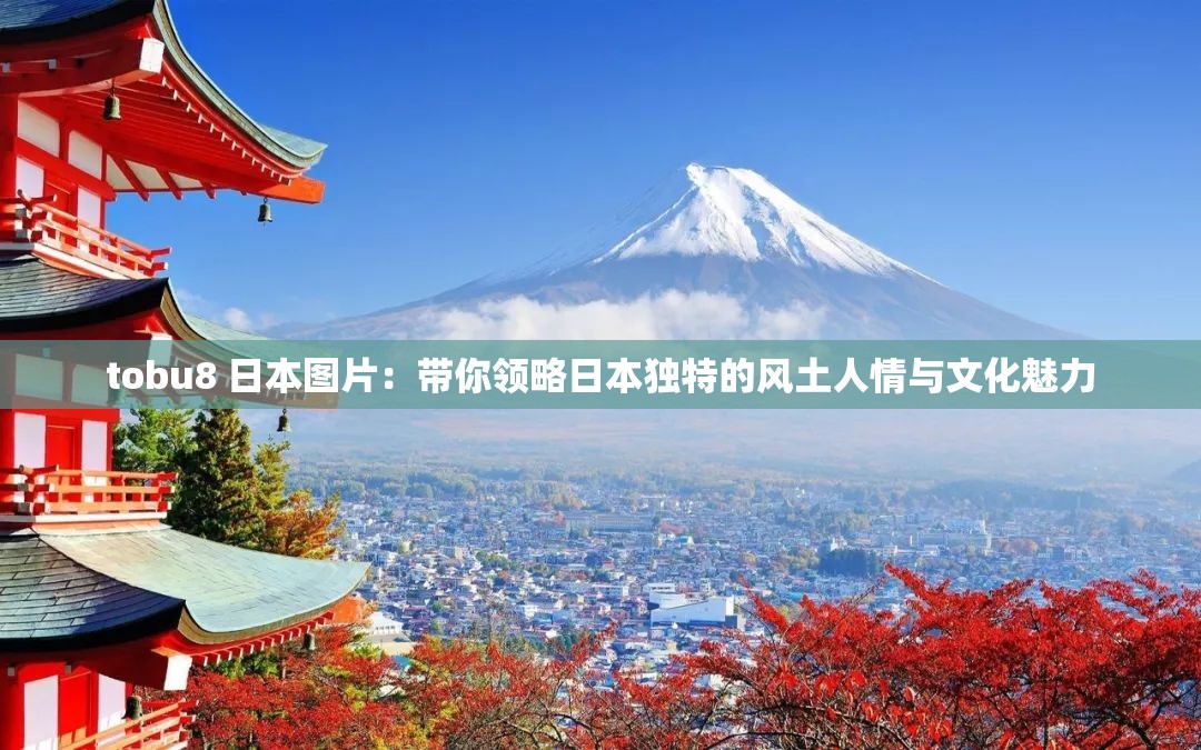 tobu8 日本圖片：帶你領(lǐng)略日本獨特的風(fēng)土人情與文化魅力