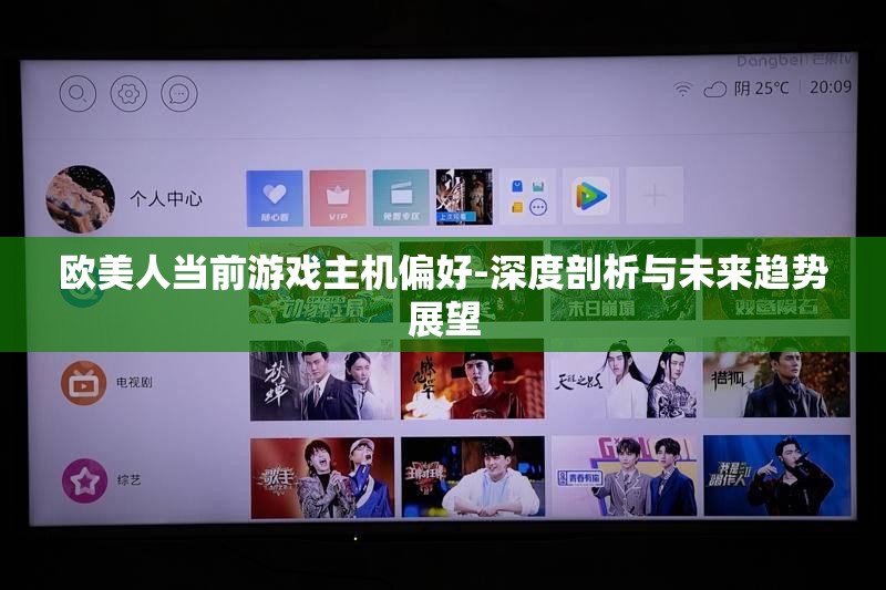 歐美人當(dāng)前游戲主機(jī)偏好-深度剖析與未來(lái)趨勢(shì)展望