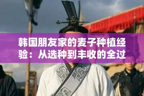 韓國(guó)朋友家的麥子種植經(jīng)驗(yàn)：從選種到豐收的全過(guò)程分享