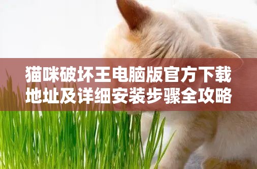 貓咪破壞王電腦版官方下載地址及詳細(xì)安裝步驟全攻略指南