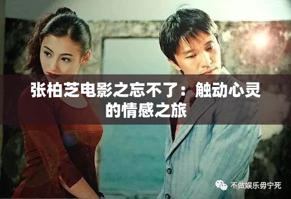 張柏芝電影之忘不了：觸動(dòng)心靈的情感之旅