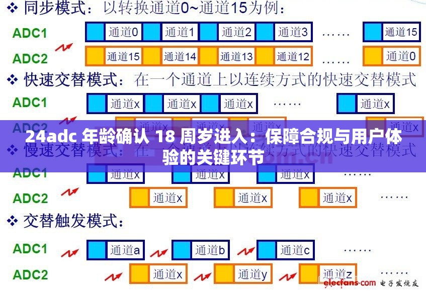 24adc 年齡確認(rèn) 18 周歲進(jìn)入：保障合規(guī)與用戶(hù)體驗(yàn)的關(guān)鍵環(huán)節(jié)