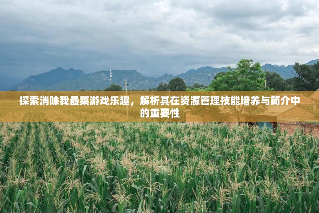 探索消除我最菜游戲樂(lè)趣，解析其在資源管理技能培養(yǎng)與簡(jiǎn)介中的重要性