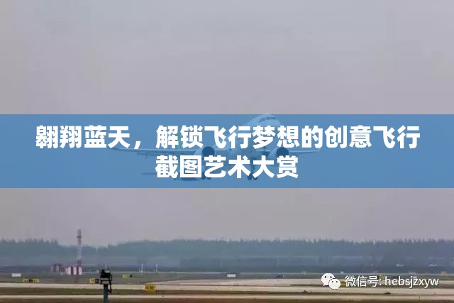 翱翔藍(lán)天，解鎖飛行夢想的創(chuàng)意飛行截圖藝術(shù)大賞