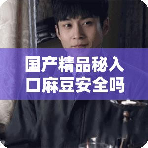 國產(chǎn)精品秘入口麻豆安全嗎：深入探究其可靠性和潛在風(fēng)險