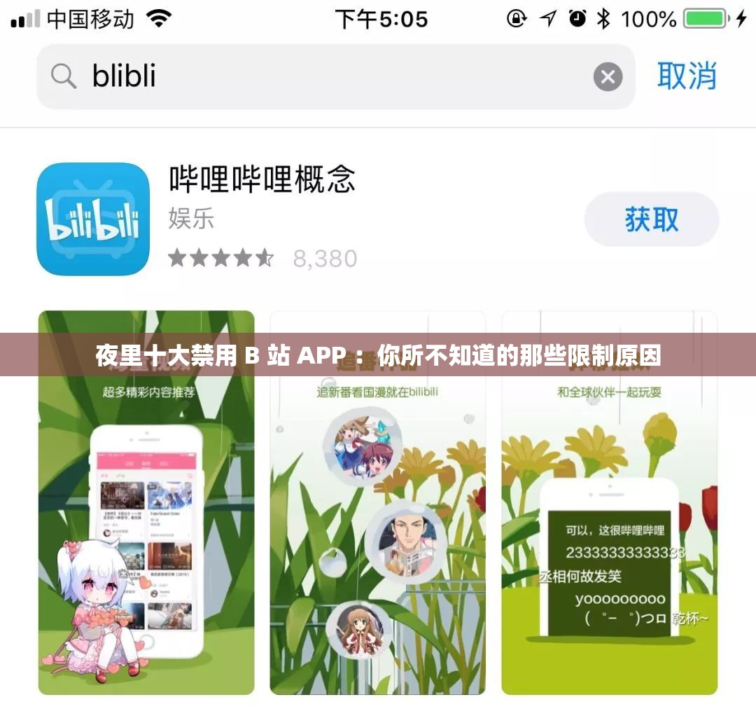 夜里十大禁用 B 站 APP ：你所不知道的那些限制原因