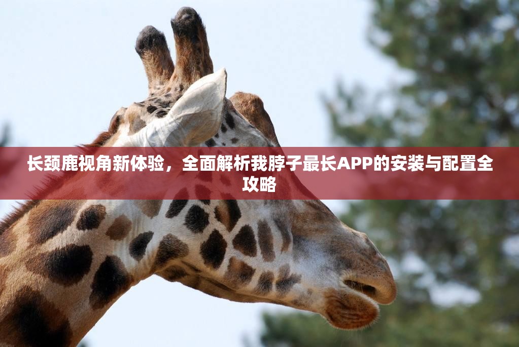 長頸鹿視角新體驗(yàn)，全面解析我脖子最長APP的安裝與配置全攻略