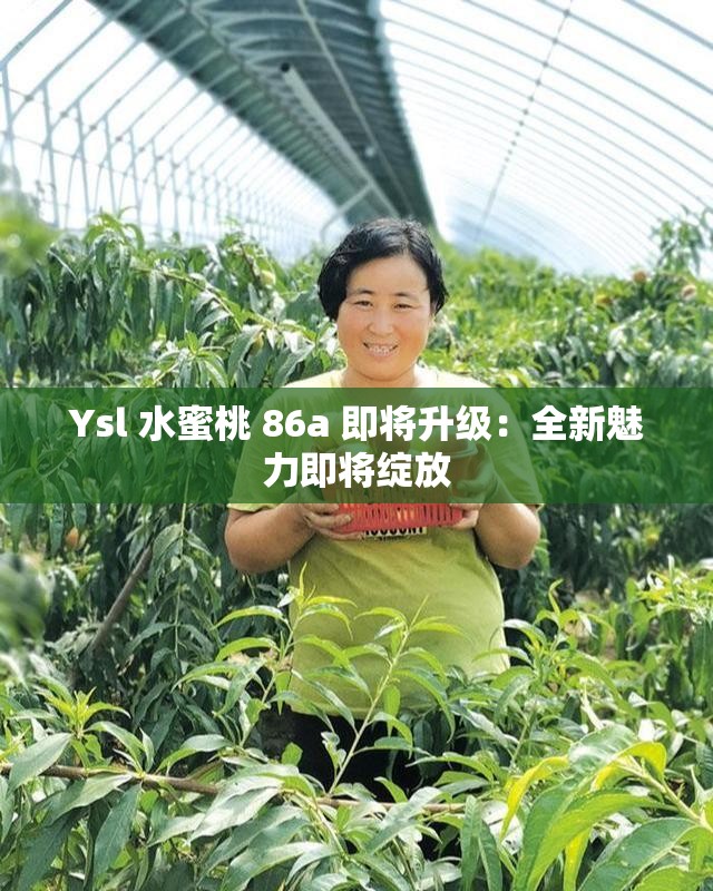 Ysl 水蜜桃 86a 即將升級(jí)：全新魅力即將綻放
