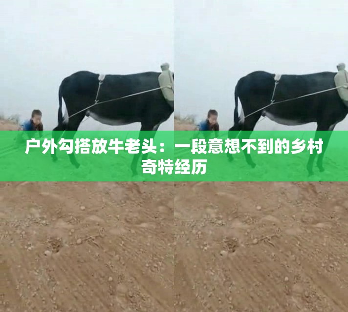 戶外勾搭放牛老頭：一段意想不到的鄉(xiāng)村奇特經(jīng)歷