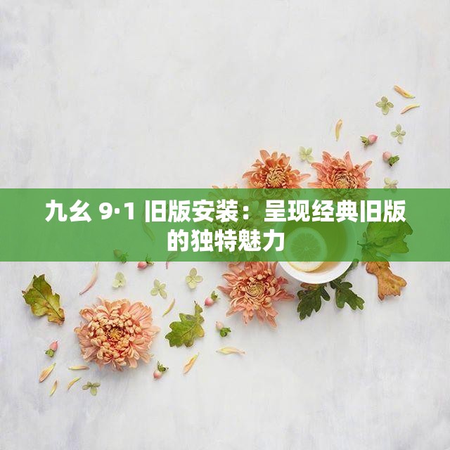 九幺 9·1 舊版安裝：呈現(xiàn)經(jīng)典舊版的獨(dú)特魅力