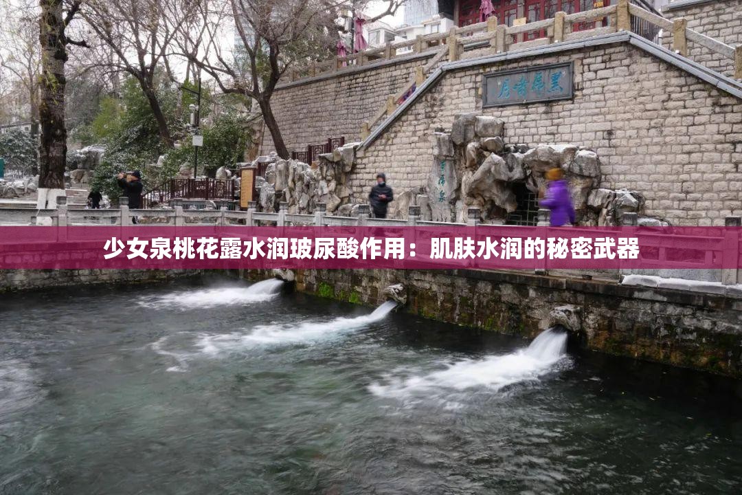 少女泉桃花露水潤玻尿酸作用：肌膚水潤的秘密武器