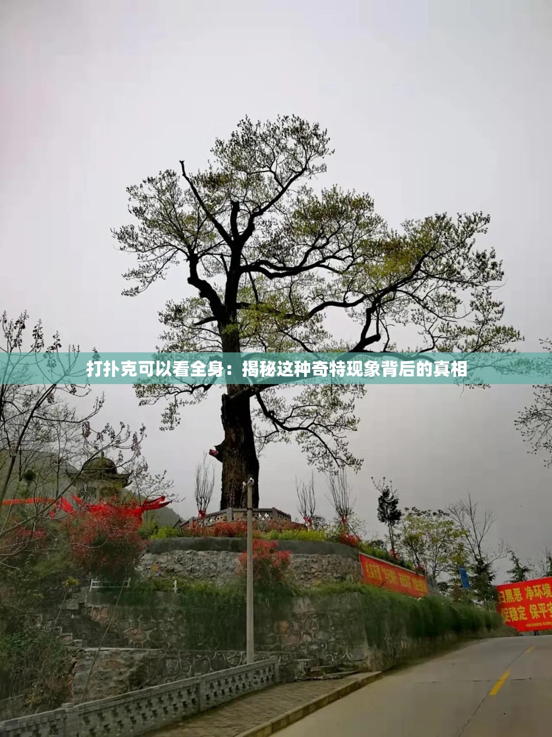 打撲克可以看全身：揭秘這種奇特現(xiàn)象背后的真相