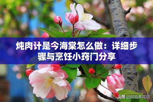燉肉計(jì)是今海棠怎么做：詳細(xì)步驟與烹飪小竅門分享