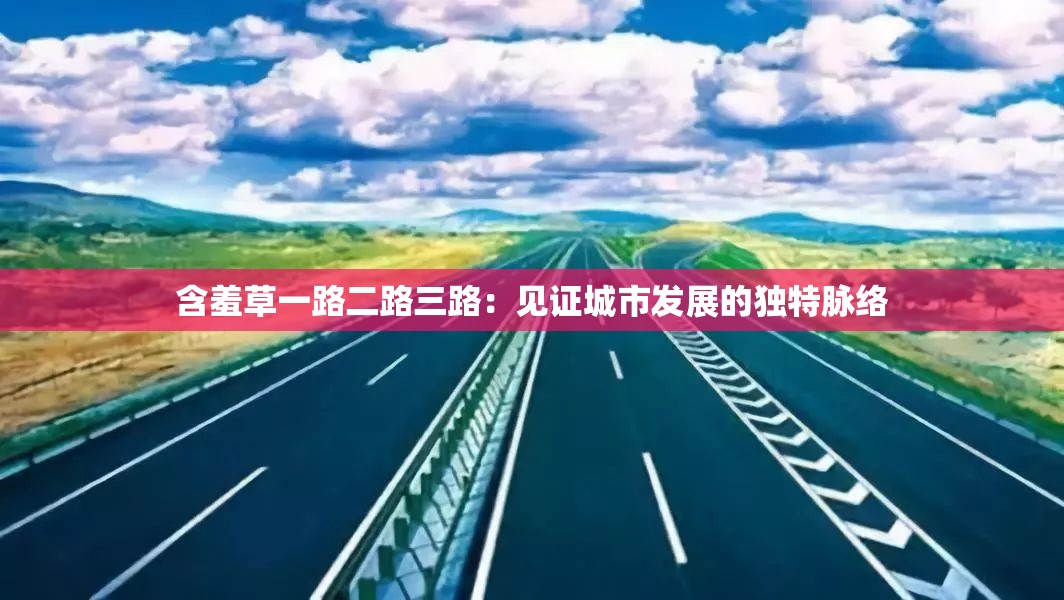 含羞草一路二路三路：見證城市發(fā)展的獨特脈絡