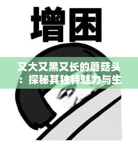 又大又黑又長(zhǎng)的蘑菇頭：探秘其獨(dú)特魅力與生長(zhǎng)之謎