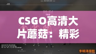 CSGO高清大片蘑菇：精彩游戲瞬間與視覺(jué)盛宴的融合