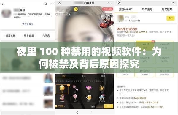 夜里 100 種禁用的視頻軟件：為何被禁及背后原因探究