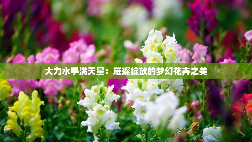 大力水手滿天星：璀璨綻放的夢幻花卉之美