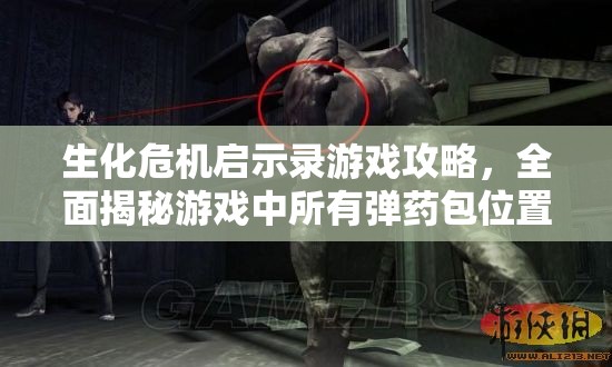生化危機啟示錄游戲攻略，全面揭秘游戲中所有彈藥包位置