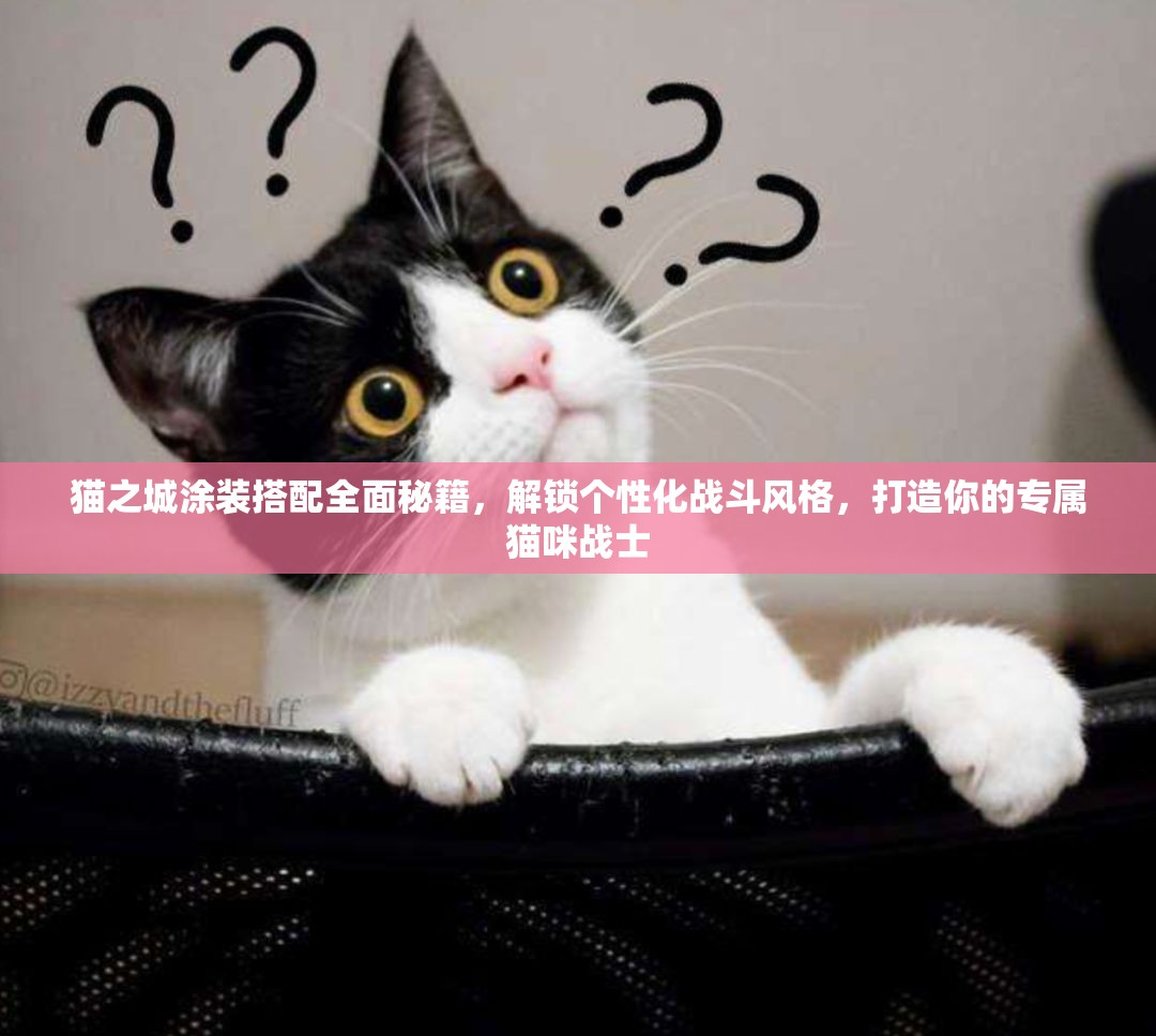 貓之城涂裝搭配全面秘籍，解鎖個(gè)性化戰(zhàn)斗風(fēng)格，打造你的專屬貓咪戰(zhàn)士