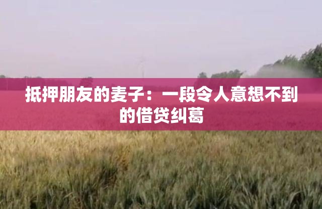 抵押朋友的麥子：一段令人意想不到的借貸糾葛