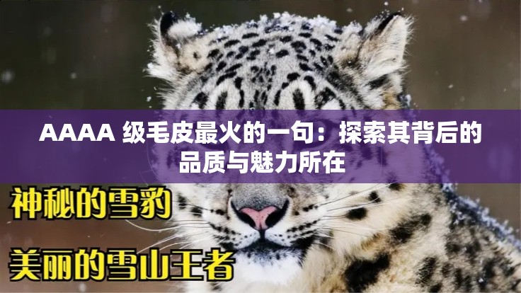 AAAA 級毛皮最火的一句：探索其背后的品質(zhì)與魅力所在