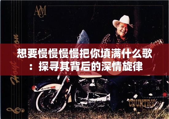 想要慢慢慢慢把你填滿什么歌：探尋其背后的深情旋律
