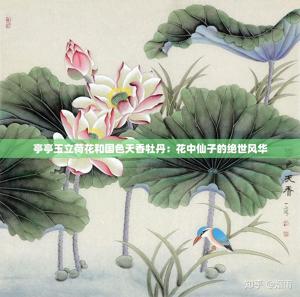 亭亭玉立荷花和國色天香牡丹：花中仙子的絕世風華