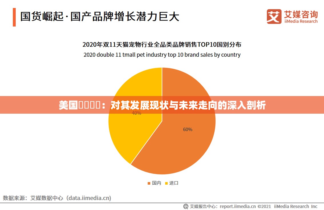 美國乄乄乄乄：對其發(fā)展現(xiàn)狀與未來走向的深入剖析