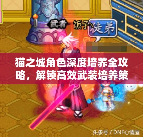 貓之城角色深度培養(yǎng)全攻略，解鎖高效武裝培養(yǎng)策略，邁向全新境界