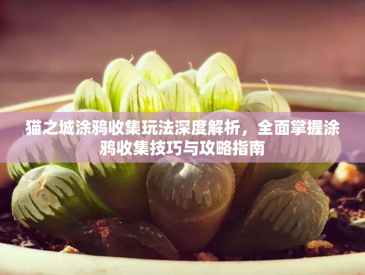 貓之城涂鴉收集玩法深度解析，全面掌握涂鴉收集技巧與攻略指南